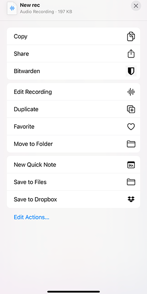 Save the audio recording as a separate file